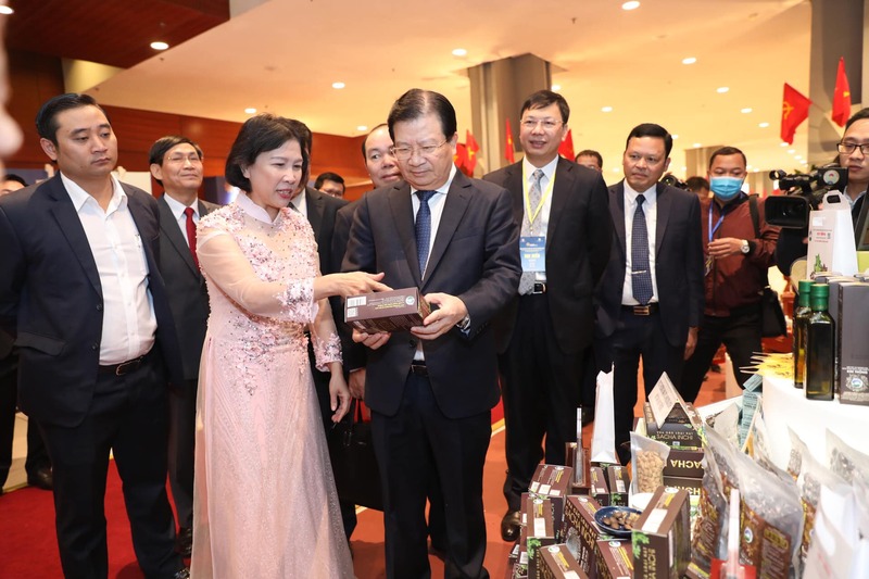 Hình ảnh hợp tác xã Kim Thông - Hạt Sacha Inchi - Hợp Tác Xã Thương Mại Dịch Vụ Du Lịch Và Xuất Nhập Khẩu Kim Thông